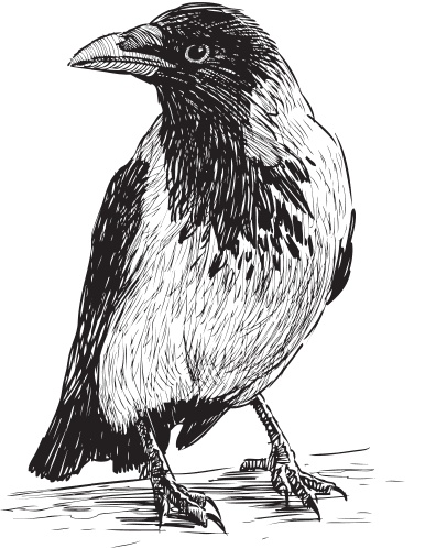 Иллюстрация к книге — В тайге (сборник). С вопросами и ответами для почемучек [_44.jpg]