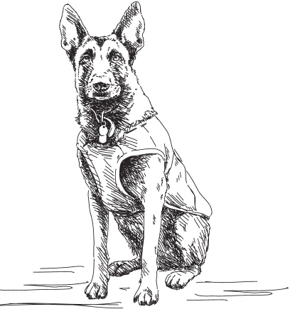 Иллюстрация к книге — В тайге (сборник). С вопросами и ответами для почемучек [_47.jpg]