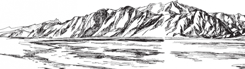 Иллюстрация к книге — В тайге (сборник). С вопросами и ответами для почемучек [_52.jpg]