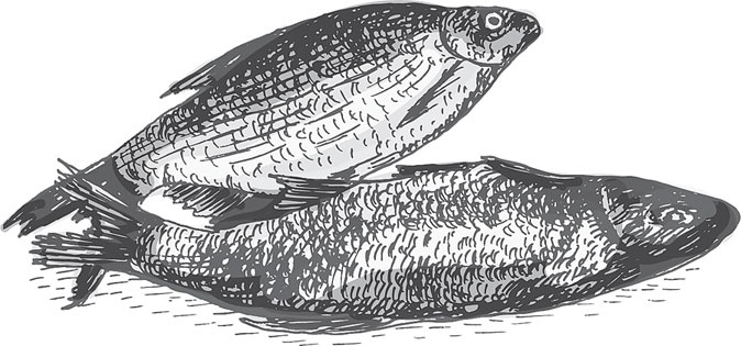 Иллюстрация к книге — В тайге (сборник). С вопросами и ответами для почемучек [_57.jpg]