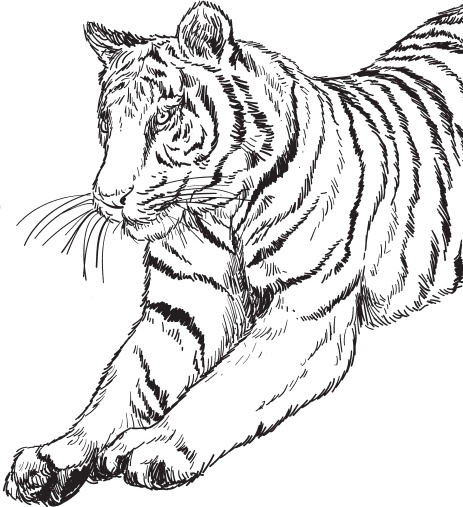 Иллюстрация к книге — В тайге (сборник). С вопросами и ответами для почемучек [_60.jpg]