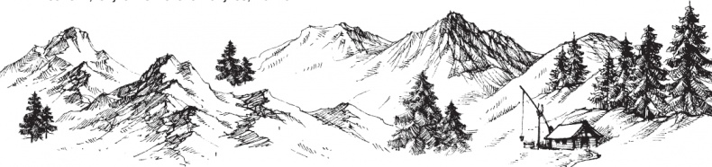 Иллюстрация к книге — В тайге (сборник). С вопросами и ответами для почемучек [_64.jpg]