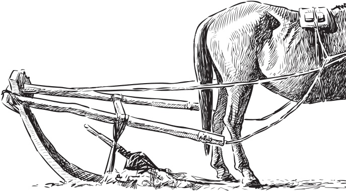 Иллюстрация к книге — В тайге (сборник). С вопросами и ответами для почемучек [_67.jpg]