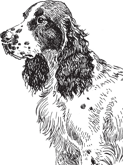 Иллюстрация к книге — В тайге (сборник). С вопросами и ответами для почемучек [_73.jpg]