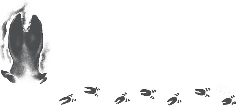 Иллюстрация к книге — В тайге (сборник). С вопросами и ответами для почемучек [_83.jpg]