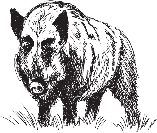 Иллюстрация к книге — В тайге (сборник). С вопросами и ответами для почемучек [_86.jpg]