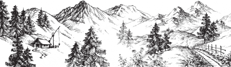 Иллюстрация к книге — В тайге (сборник). С вопросами и ответами для почемучек [_88.jpg]