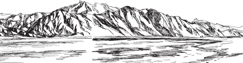 Иллюстрация к книге — В тайге (сборник). С вопросами и ответами для почемучек [_89.jpg]