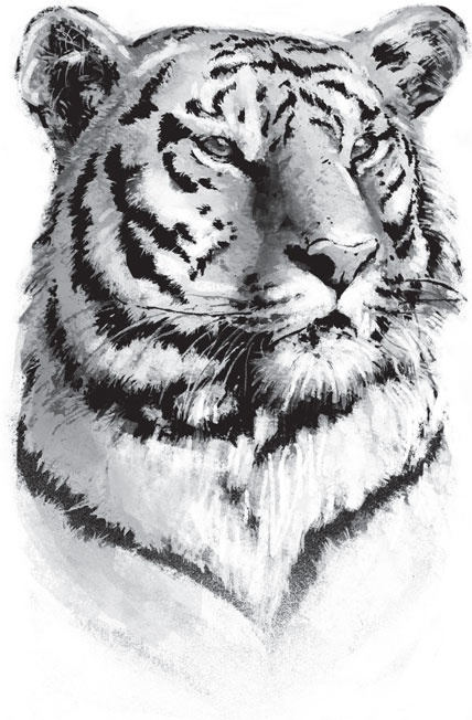 Иллюстрация к книге — В тайге (сборник). С вопросами и ответами для почемучек [_92.jpg]