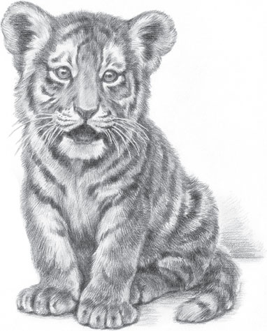 Иллюстрация к книге — В тайге (сборник). С вопросами и ответами для почемучек [_93.jpg]