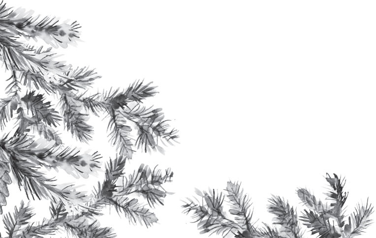 Иллюстрация к книге — В тайге (сборник). С вопросами и ответами для почемучек [_95.jpg]