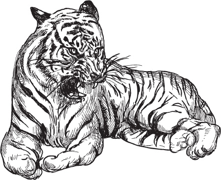 Иллюстрация к книге — В тайге (сборник). С вопросами и ответами для почемучек [_97.jpg]