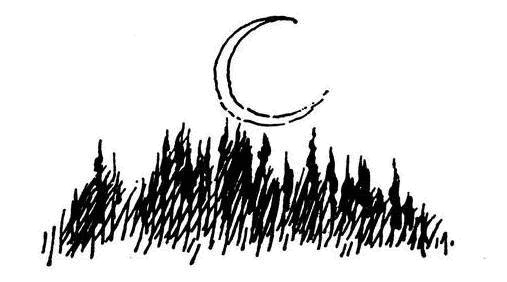 Иллюстрация к книге — Невидимая девочка и другие истории [i_009.jpg]