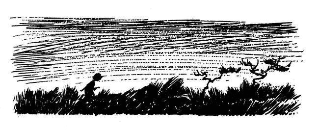 Иллюстрация к книге — Невидимая девочка и другие истории [i_011.jpg]