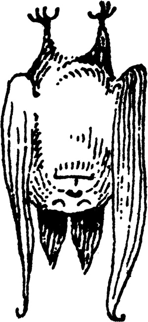 Иллюстрация к книге — В глубине ноября [i_029.jpg]