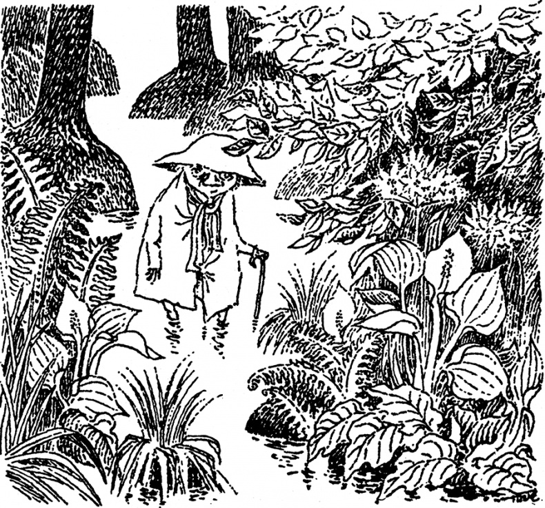 Иллюстрация к книге — В глубине ноября [i_075.jpg]