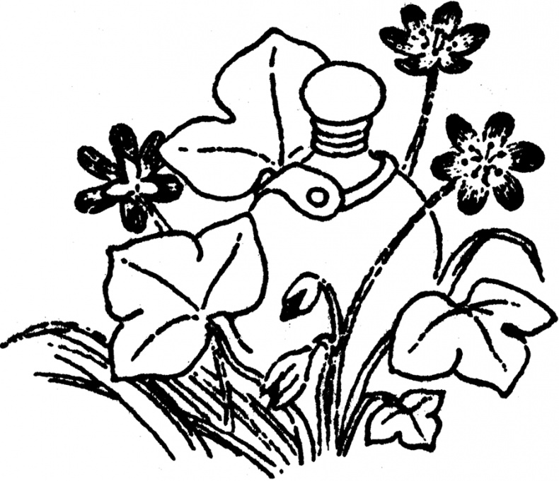 Иллюстрация к книге — В глубине ноября [i_077.jpg]