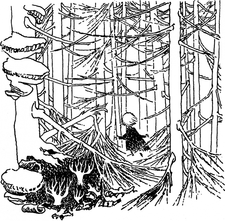 Иллюстрация к книге — В глубине ноября [i_082.jpg]