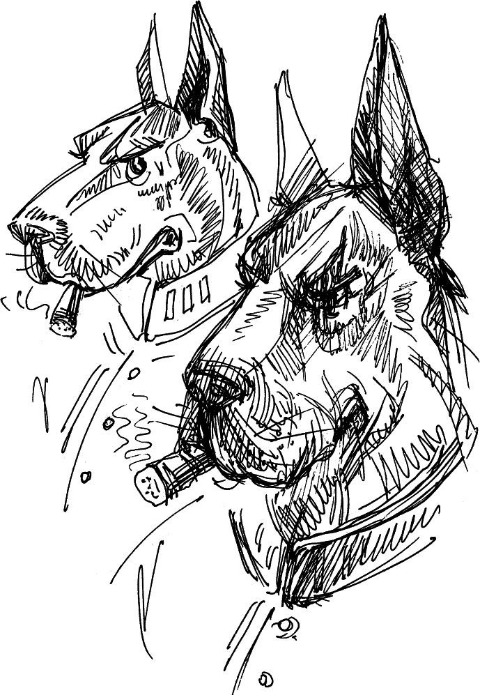 Иллюстрация к книге — Египетская сила [i_016.jpg]