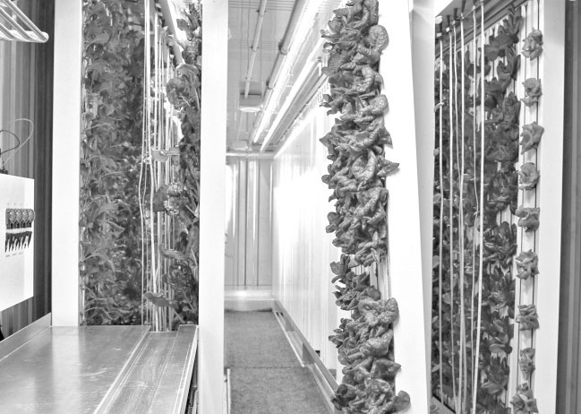 Иллюстрация к книге — Илон Маск. В погоне за мечтой [i_030.jpg]