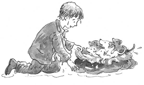 Иллюстрация к книге — Рожденный бежать [i_004.jpg]