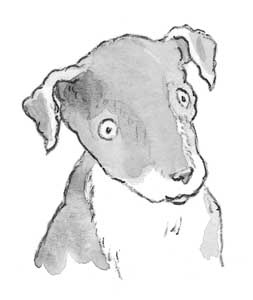 Иллюстрация к книге — Рожденный бежать [i_008.jpg]