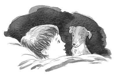 Иллюстрация к книге — Рожденный бежать [i_009.jpg]