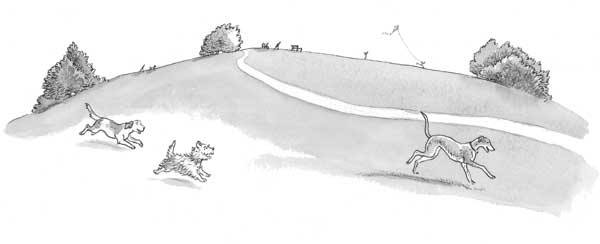 Иллюстрация к книге — Рожденный бежать [i_010.jpg]