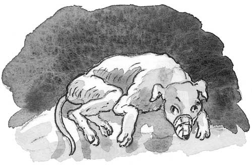 Иллюстрация к книге — Рожденный бежать [i_012.jpg]