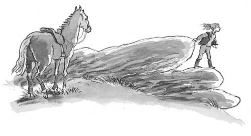 Иллюстрация к книге — Рожденный бежать [i_015.jpg]