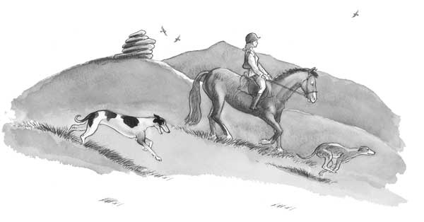 Иллюстрация к книге — Рожденный бежать [i_018.jpg]