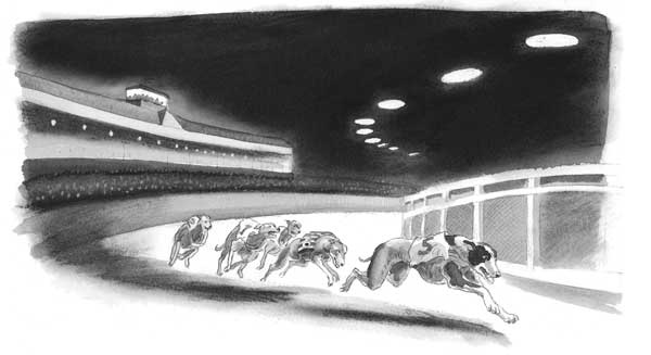 Иллюстрация к книге — Рожденный бежать [i_020.jpg]