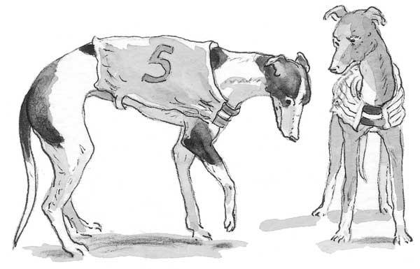 Иллюстрация к книге — Рожденный бежать [i_023.jpg]