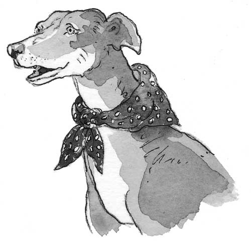 Иллюстрация к книге — Рожденный бежать [i_041.jpg]