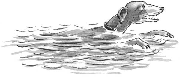 Иллюстрация к книге — Рожденный бежать [i_043.jpg]