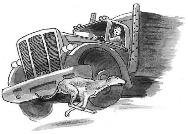 Иллюстрация к книге — Рожденный бежать [i_044.jpg]