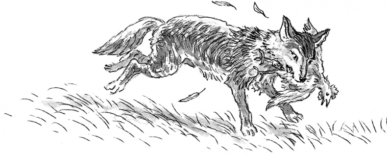 Иллюстрация к книге — Адольфус Типс и её невероятная история [i_007.jpg]