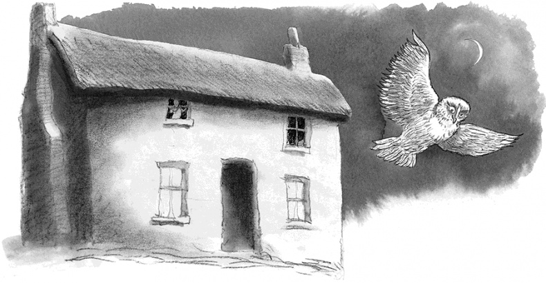 Иллюстрация к книге — Адольфус Типс и её невероятная история [i_010.jpg]