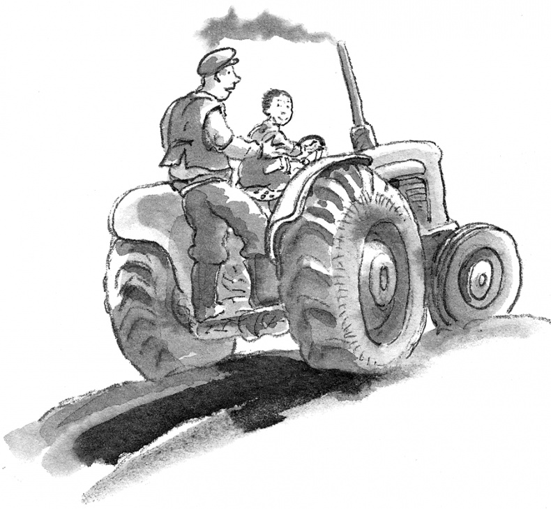 Иллюстрация к книге — Адольфус Типс и её невероятная история [i_014.jpg]