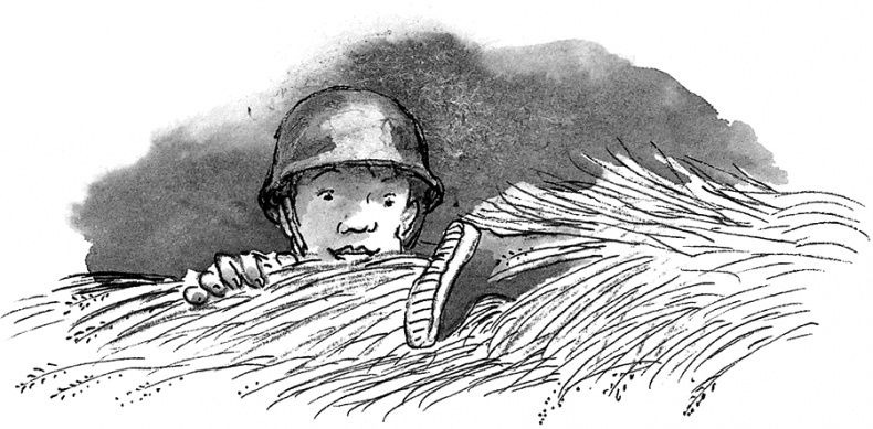 Иллюстрация к книге — Адольфус Типс и её невероятная история [i_023.jpg]