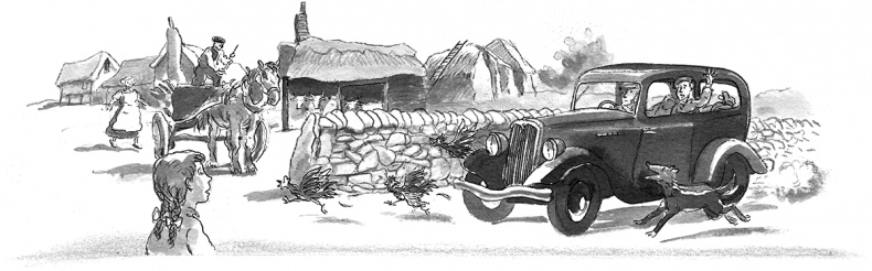 Иллюстрация к книге — Адольфус Типс и её невероятная история [i_027.jpg]