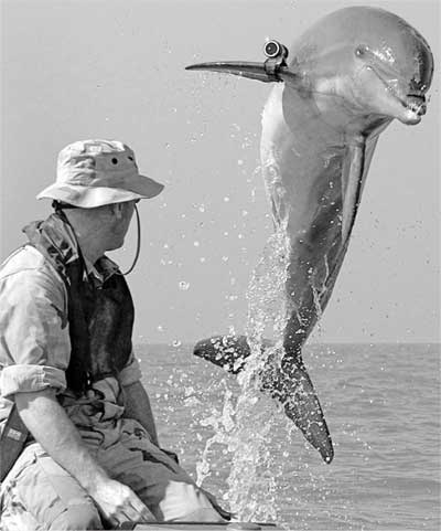 Иллюстрация к книге — Тайны мирового океана [i_004.jpg]