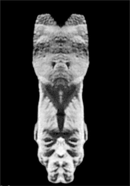 Иллюстрация к книге — Тайны мирового океана [i_006.jpg]