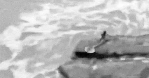 Иллюстрация к книге — Тайны мирового океана [i_011.jpg]