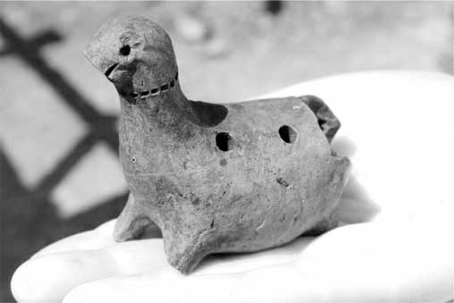 Иллюстрация к книге — Тайны мирового океана [i_017.jpg]