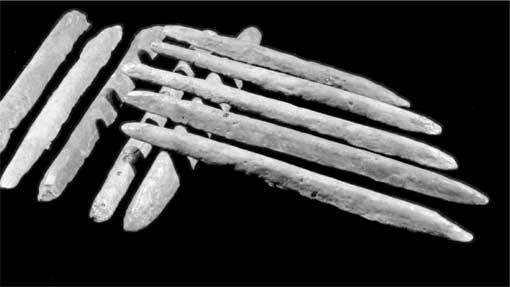 Иллюстрация к книге — Тайны мирового океана [i_024.jpg]