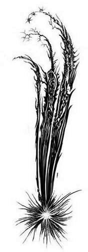 Иллюстрация к книге — Макабр. Война на восходе [i_001.jpg]