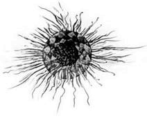 Иллюстрация к книге — Макабр. Война на восходе [i_037.jpg]