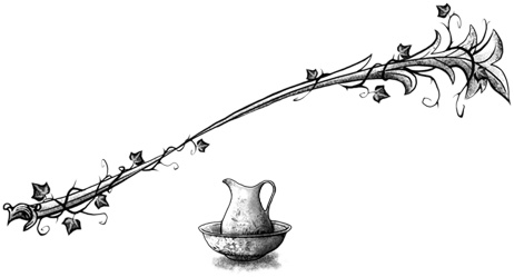 Иллюстрация к книге — Остановите Айви Покет! [i_027.jpg]