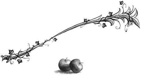 Иллюстрация к книге — Остановите Айви Покет! [i_038.jpg]